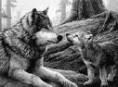 /album/imagens-do-jogo-the-wolfs/pintura-lobo-jpeg/